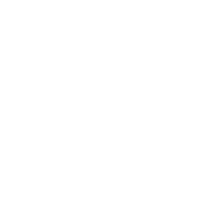 Peteys-Picks-White-Logo