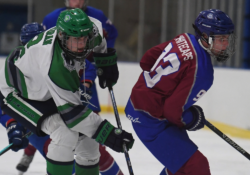 Photo by Tim Arrick | The Livingston Daily