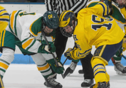 Photo by Tim Arrick | The Livingston Daily