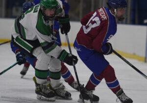 Photo by Tim Arrick | The Livingston Daily